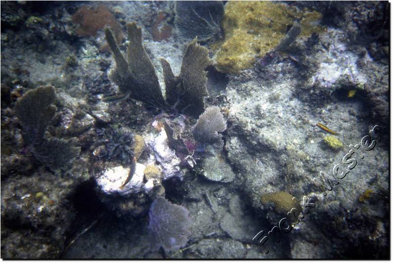 Cuba-Sub-04.jpg
