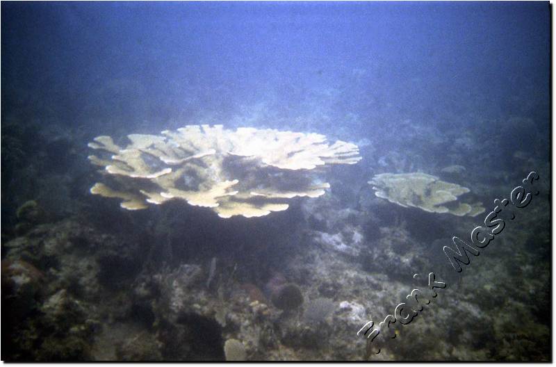 Cuba-Sub-06.jpg