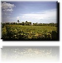 Cuba-Cienfuegos-13.jpg