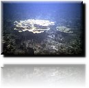 Cuba-Sub-06.jpg