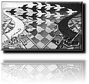 Escher - Day And Night.jpg