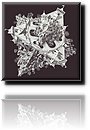 Escher - Double Planetoid.jpg