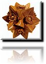Escher - Polyhedron With Flowers.jpg