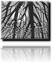 Escher - Rippled Surface.jpg