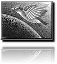 Escher - The First Day Of The Creation.jpg